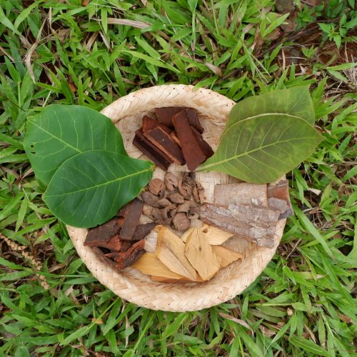 bahan pewarna alami batik-batik siputri