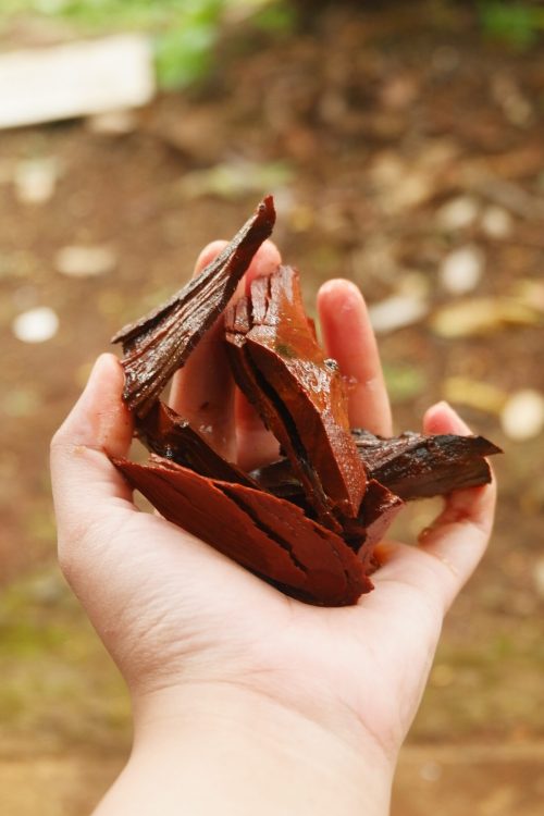 Bahan pewarna alami kayu tingi Batik siPutri
