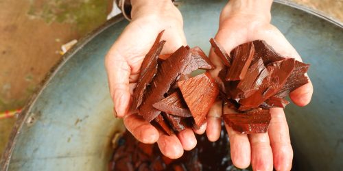 Bahan pewarna alami batik siputri